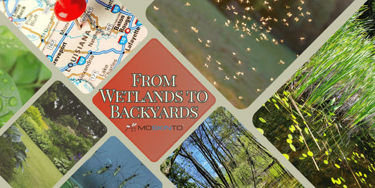 From-Wetlands-to-Backyards-Understanding-Louisiana-s-Diverse-Mosquito-Habitat Moskinto USA