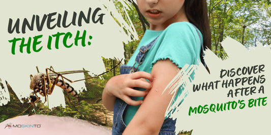 Unveiling-the-Itch-Discover-What-Happens-After-a-Mosquito-s-Bite Moskinto USA