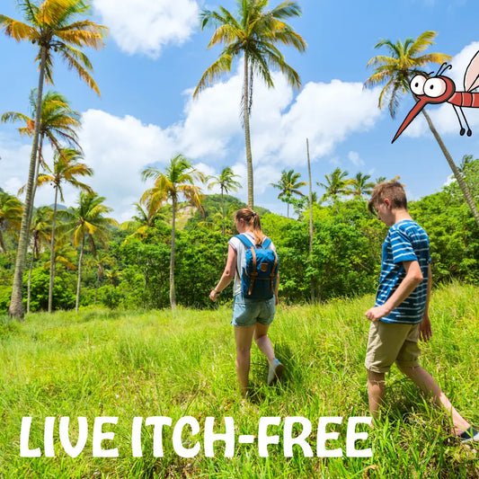 The-Future-of-Insect-Protection-Moskinto-s-Innovative-and-Skin-Friendly-Solutions Moskinto USA