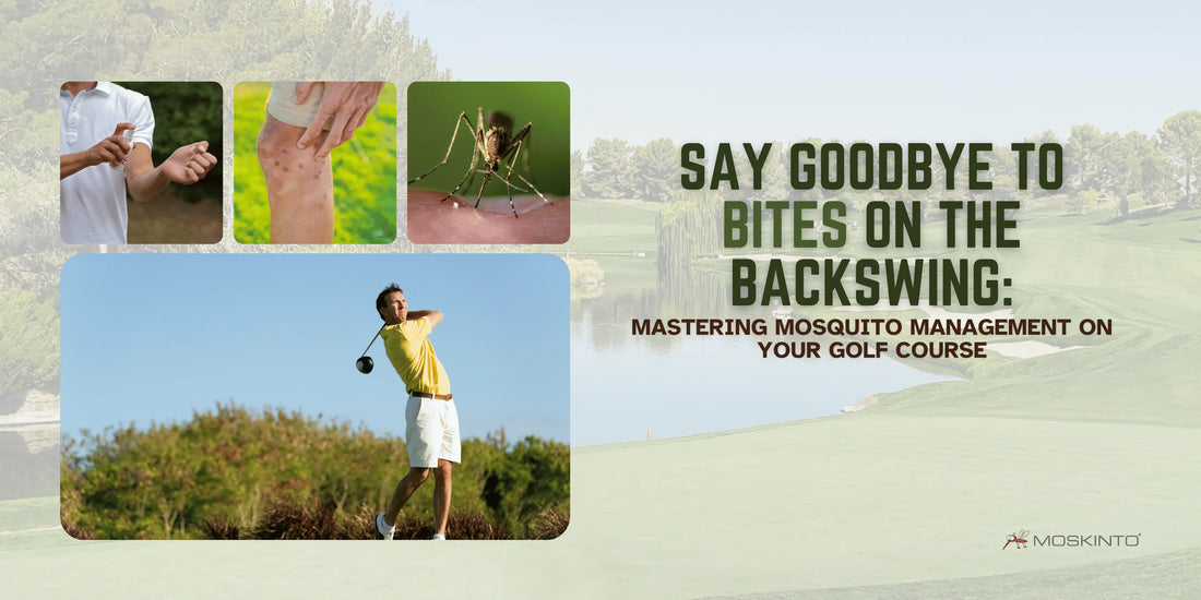 Say-Goodbye-to-Bites-on-the-Backswing-Mastering-Mosquito-Management-on-Your-Golf-Course Moskinto USA