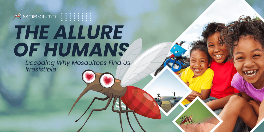 The Allure of Humans: Decoding Why Mosquitoes Find Us Irresistible