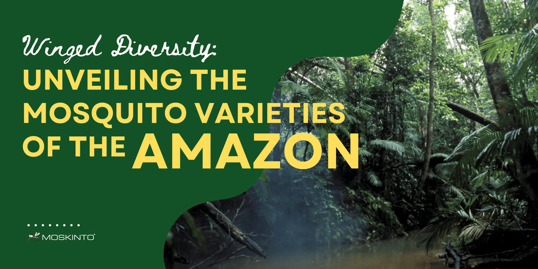 Winged-Diversity-Unveiling-the-Mosquito-Varieties-of-the-Amazon Moskinto USA